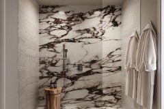 Master-Bathroom-Shower